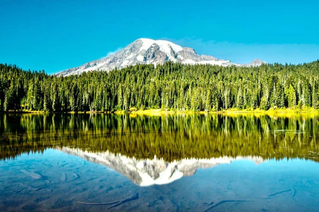 Mount Rainier- beautiful natural landmark in America